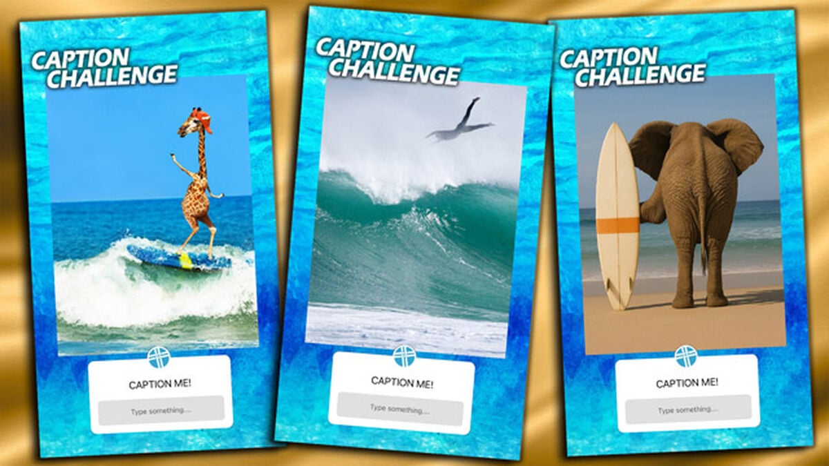 Caption Challenge Surf's Up image number null